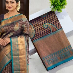Navy Blue Teal Border Kanjivaram Saree
